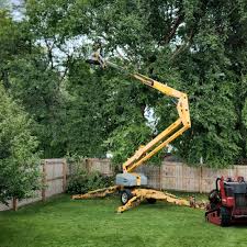 Best Tree and Shrub Care  in Forest Hills, MI