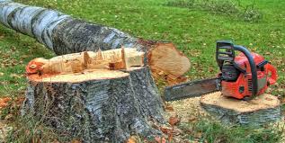 Best Stump Grinding and Removal  in Forest Hills, MI